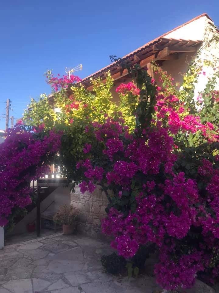 Avalon Village Houses Limassol Exterior foto